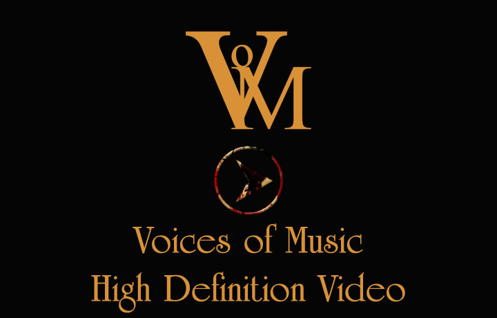 Voices of Music Videos